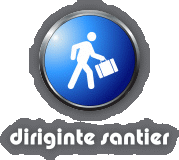 Diriginte de Santier Stratan Sorin